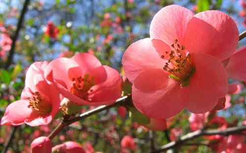 مهدی اسدیان چشمارو سورمه کرده